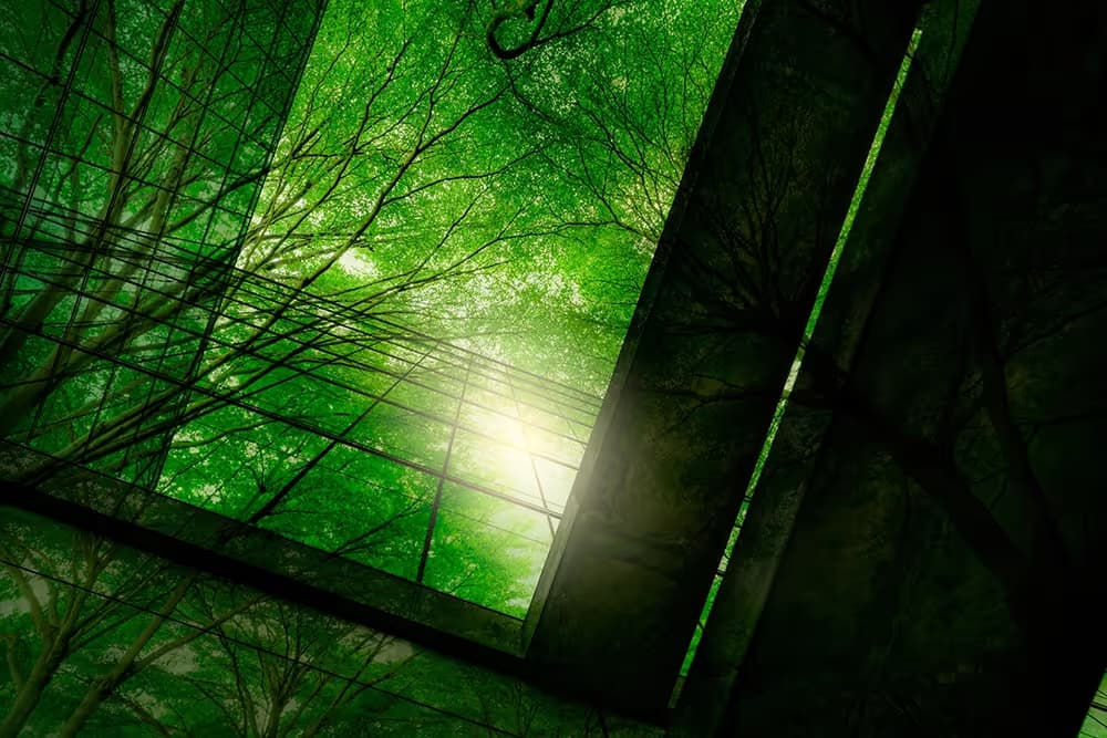 Sustainable Building Practices